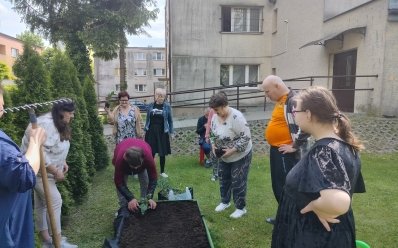 Hortikuloterapia w naszym ogrodzie