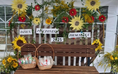 Pieczony ziemniak w DPS Skarżysko - Kamienna