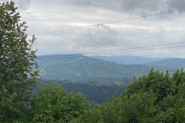 11wA0BCDF05-ECD4-8F95-FE30-D36CEFA03832.jpg